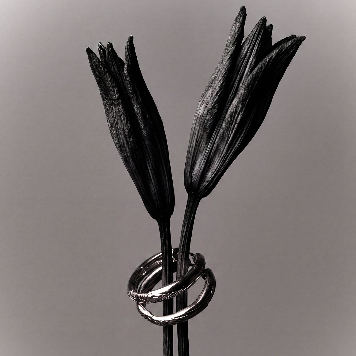 The Twin Earrings