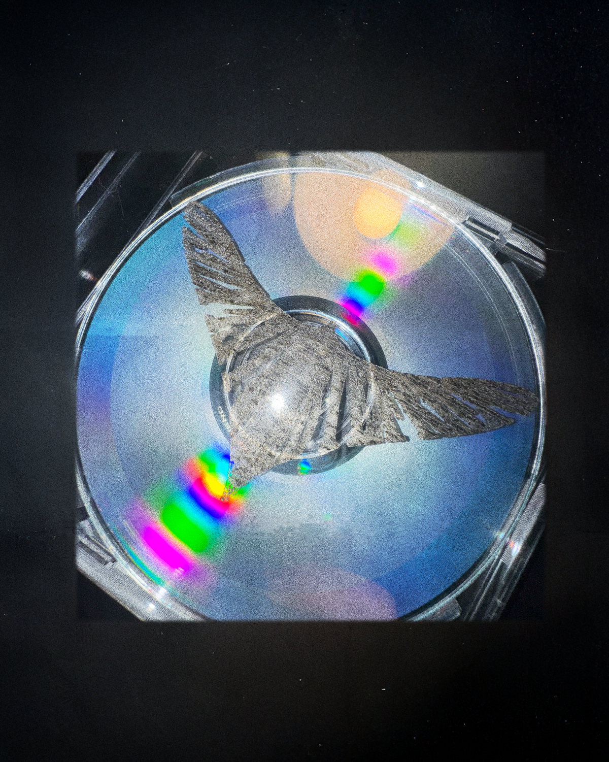 “Bye.” Compact Disk